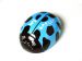 Квадрокоптер WLtoys V929 Ladybird Beetle UFO (Blue) Синий